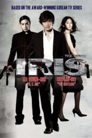 Iris